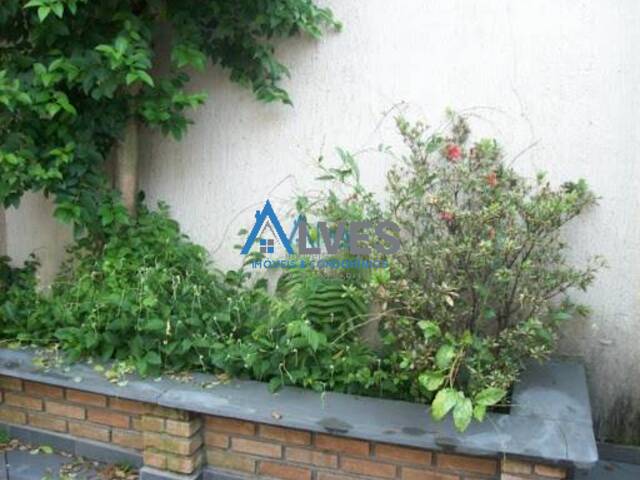 Casa para Venda em São Caetano do Sul - 4